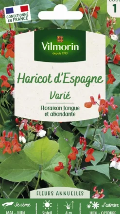 Haricot d'Espagne Varié Vilmorin - graines à semer