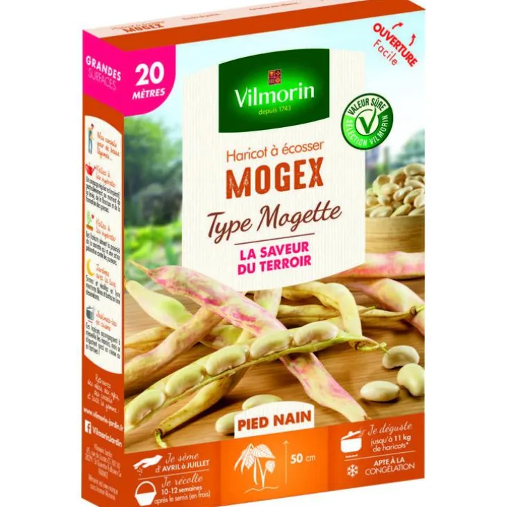 Haricot Mogex type Mogette Vilmorin - graines à semer