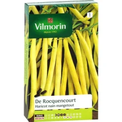 Haricot nain mangetout de Rocquencourt Vilmorin - graines à semer