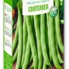 Haricot Vert Contender Vilmorin - graines à semer