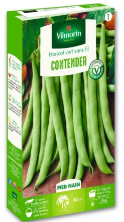 Haricot Vert Contender Vilmorin - graines à semer