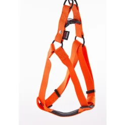 Harnais baudrier réglable orange pour chien - 4x90/110 cm