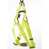 Harnais baudrier réglable vert citron pour chien - 4x90/110 cm