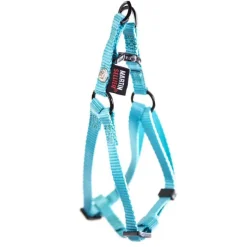 Harnais baudrier réglable turquoise pour chien - 1x25/35 cm