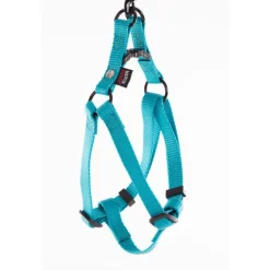 Harnais baudrier réglable turquoise pour chien - 1,6x35/50 cm
