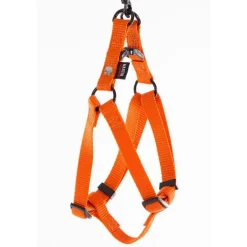Harnais baudrier réglable orange pour chien - 1,6x35/50 cm
