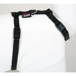 Harnais chat nylon noir 1-35/50 cm