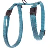 Harnais Flash pour chat coloris bleu