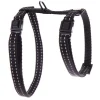 Harnais Flash pour chat coloris noir