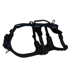 Harnais Kyflie Nomad bleu