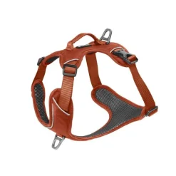 Harnais Momentum Taille 2 Circonférence cage thoracique 42-55cm Cuivre
