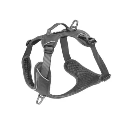 Harnais Momentum Taille 1 Circonférence cage thoracique 33-44cm Gris