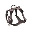 Harnais pour chien coloris gris anthracite Kyflie Momentum Urban - Taille 2