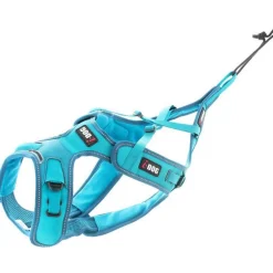 Harnais pour chien coloris bleu canicross réglable I-Dog X-Back Phoenix ALM - Taille L