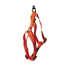 Harnais réglable orange 50/70cm Martin Sellier