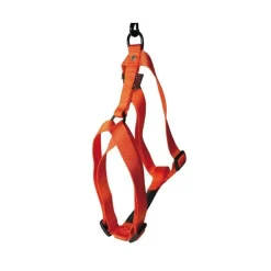 Harnais réglable Orange 35/50cm Martin Sellier