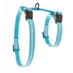 Harnais Safety bleu 35/50 x 1 cm