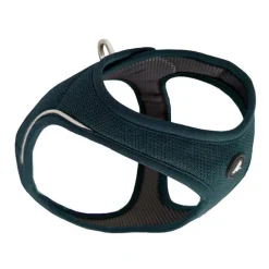 Harnais veste Kyflie Momentum Air Bleu