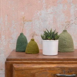 Haworthia mix en pot émaillé blanc Ø 10 cm