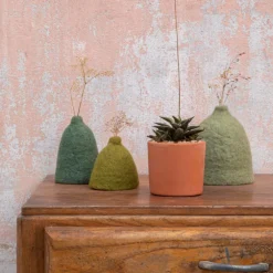 Haworthia mix en pot terre cuite H 15 x Ø 10 cm