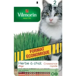 Herbe à chat
