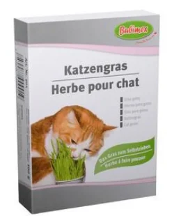Herbe à chat Bubimex