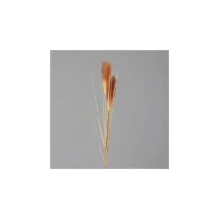 Herbe de la pampa crème/brun artificielle - 107 cm