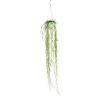 Hoya Linearis suspension Ø14xH50 cm