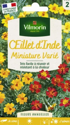 Œillet d'Inde miniature varié Vilmorin - graines à semer