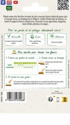 Œillet d'Inde miniature varié Vilmorin - graines à semer