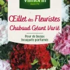 Œillets des fleuristes Chabaud Géant Varié Vilmorin - graines à semer