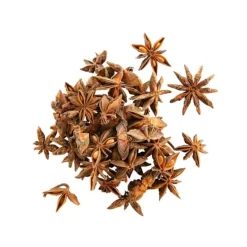 Infusion bio badiane fruit Nature & Vous – 40 g