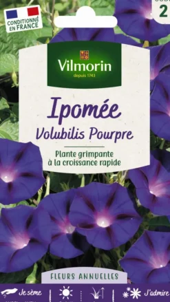 Ipomée Volubilis Pourpre Vilmorin - graines à semer