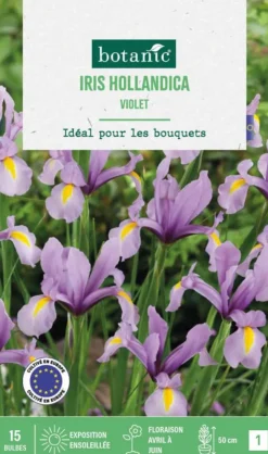Iris hollande coloris violet botanic® - 15 bulbes