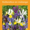 Iris Hollande en mélange botanic® - 20 bulbes