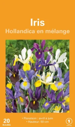 Iris Hollande en mélange botanic® - 20 bulbes