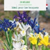Iris hollandica en mélange botanic® - 25 bulbes