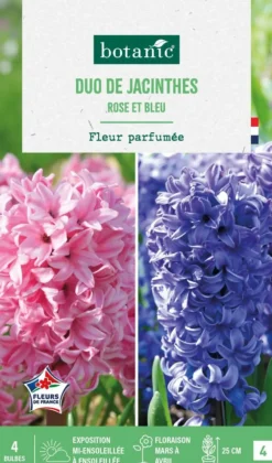 Jacinthe en duo botanic® - 4 bulbes