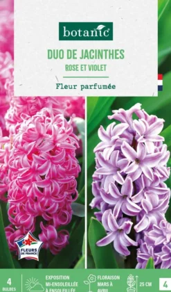 Jacinthe en duo botanic® - 4 bulbes
