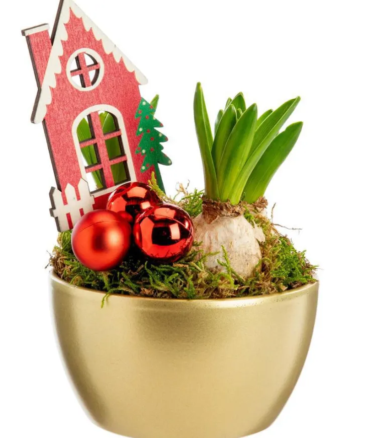 Jacinthe x 3 coupe coloris or - Ø 13,5 cm