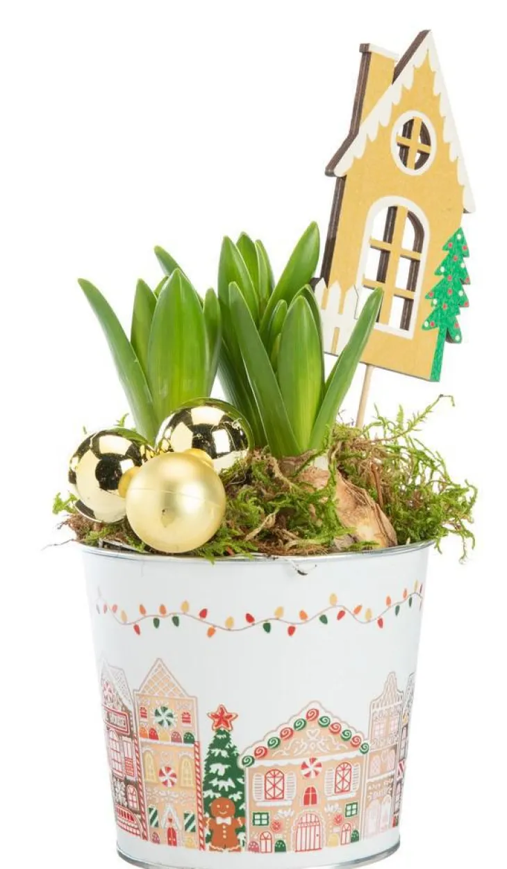 Jacinthe x 3 pot zinc décor village - Ø 11 cm