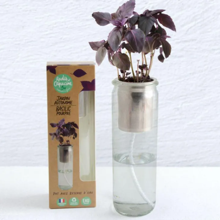 Jardin autonome Basilic pourpre bio Radis et Capucine