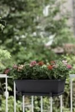 Jardinière 70cm Barcelona Elho anthracite