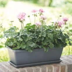 Jardinière 50cm Barcelona Elho anthracite