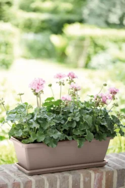 Jardinière 50cm Barcelona Elho taupe