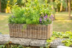 Jardinière panier rectangulaire en osier gris Marcia petit modèle