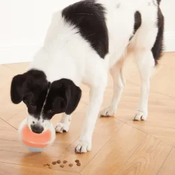 Jouet éducatif pour chien coloris orange niveau 1 Nina Ottosson Rumble Puzzle 2 en 1