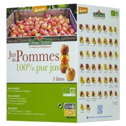 Jus de Pommes Bio BIB 5 L