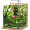 Kit aquarium Jalaya XL coloris chêne clair Zolux – 25 x 25 x 30 cm