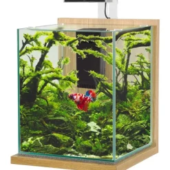 Kit aquarium Jalaya XL coloris chêne clair Zolux – 25 x 25 x 30 cm